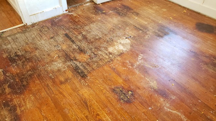Gallery photo for Independent Hardwood Floor Company in Littleton, CO