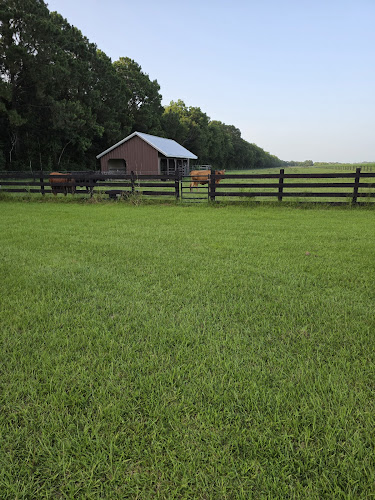 Stinson Fencing LLC Fence Contractor in Lafayette, LA photo