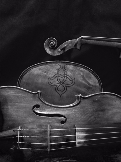 Eugene Violin Shop Musical Instrument Repair Shop in Eugene, OR photo