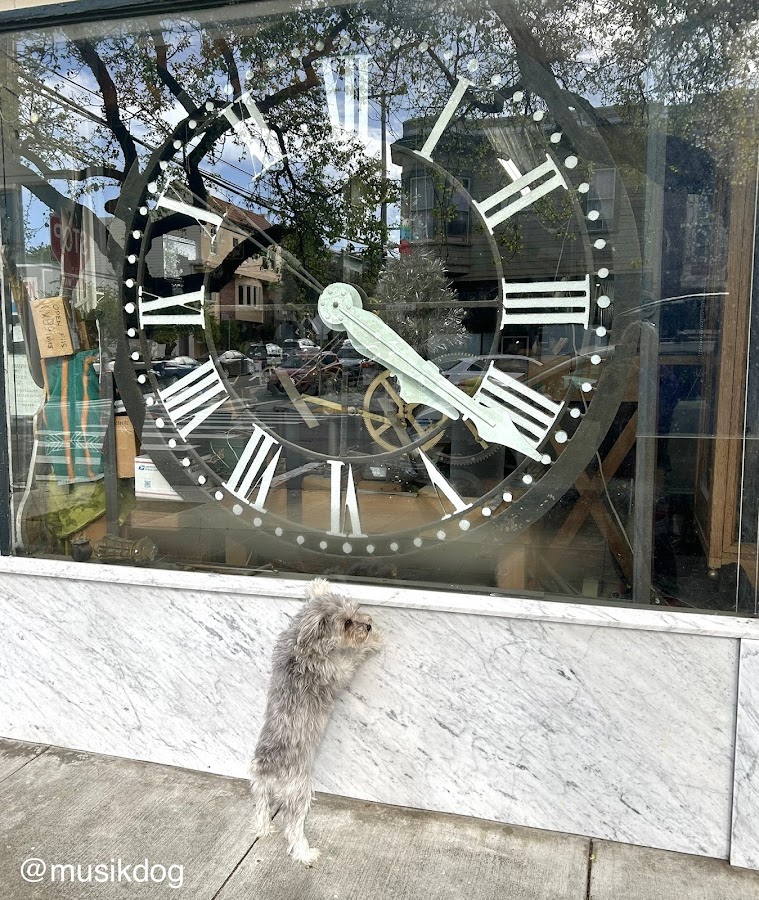 Dorian Clair Antique Clock Repair Clock Repair Service in San Francisco, CA photo