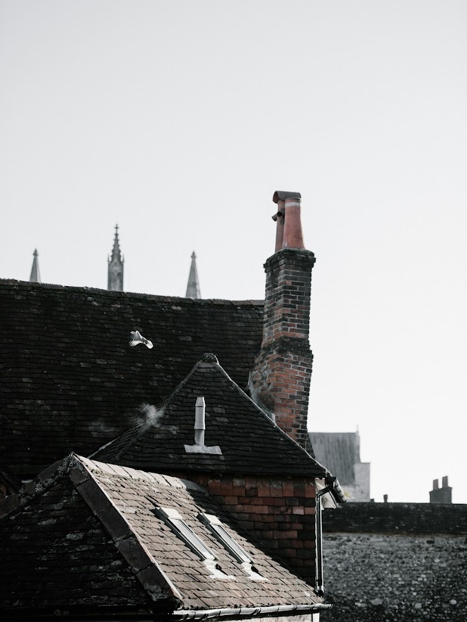 Lorenzo Chimney & wood Burning Chimney Sweep in Jersey City, NJ photo