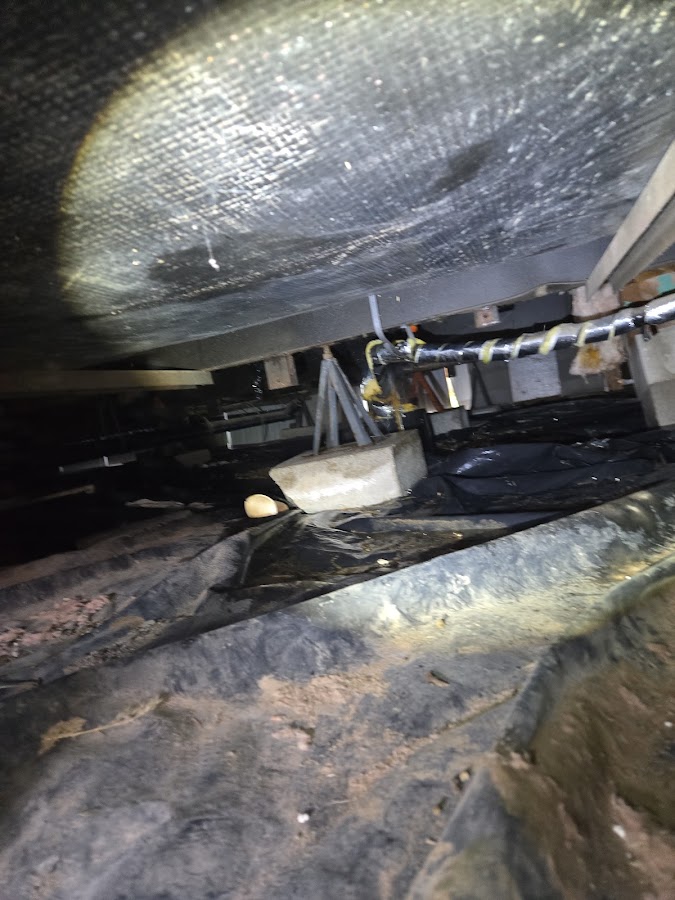 Fielder Sewer & Drain Plumber in Spring Creek, NV photo