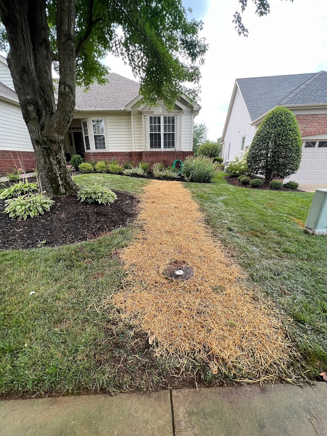 Home Service Pros - Quality Sewer & Drain Plumber in Arlington, VA photo