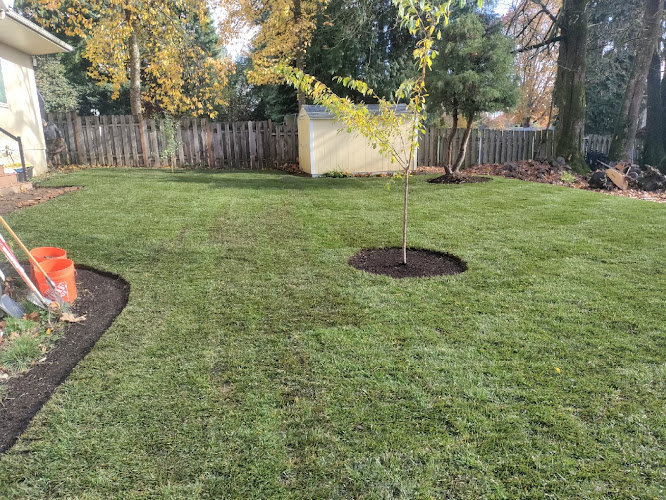 Earthborn Landscape Services Landscaper in Portland, OR photo