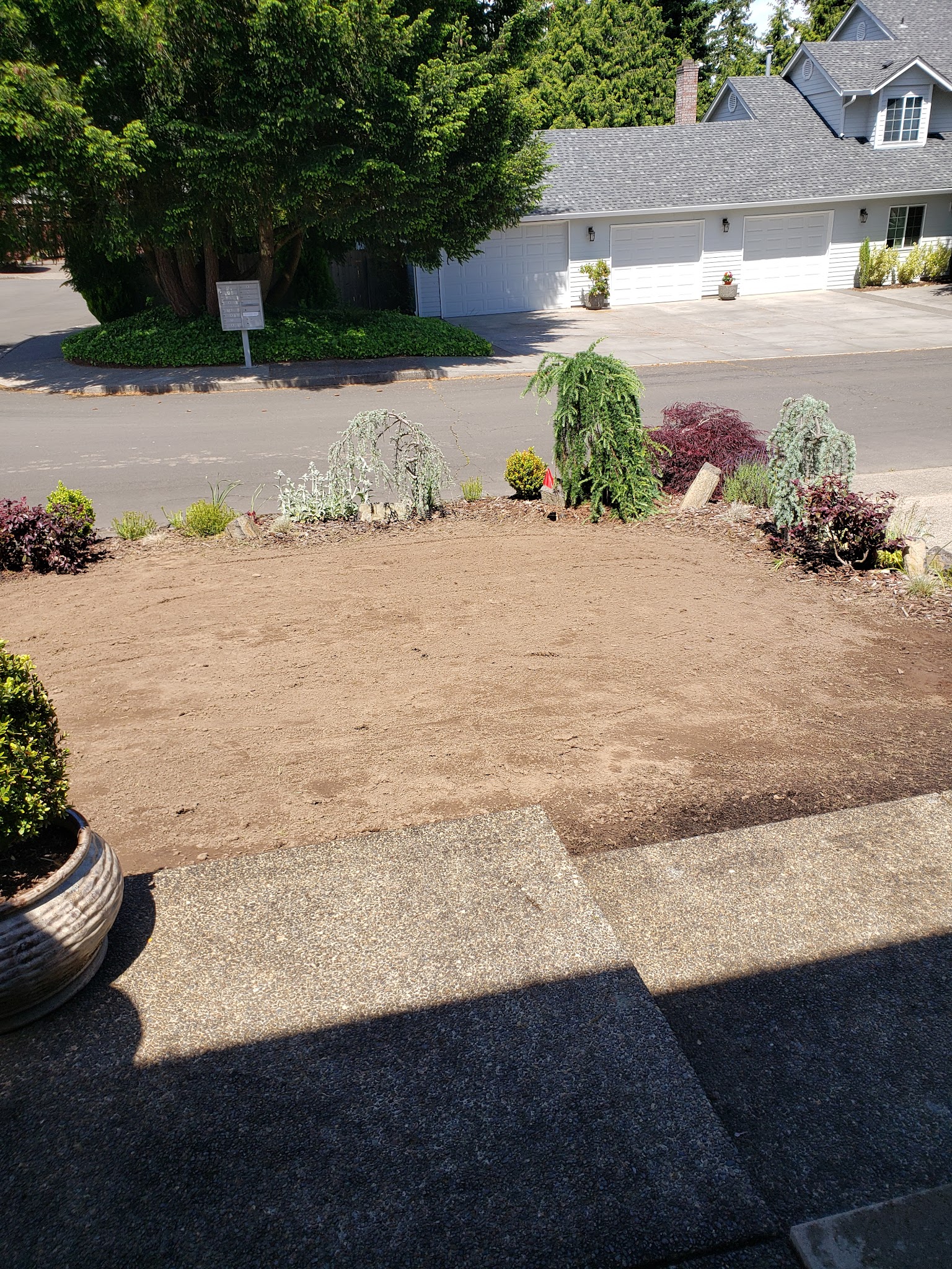 Simple Lawns Landscape Design Landscape Designer