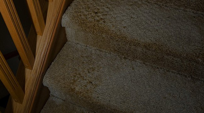 MFT, LLC Cleaning Services gallery photo