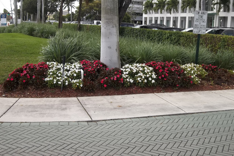 Sunlight Landscape Landscaper in Pompano Beach, FL photo