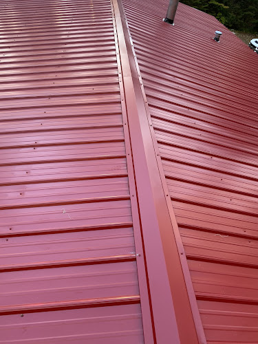 The Pioneer Roofing Company