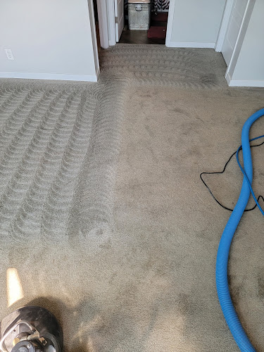 Pure Clean Carpet Cleaning Service in Williston, ND photo