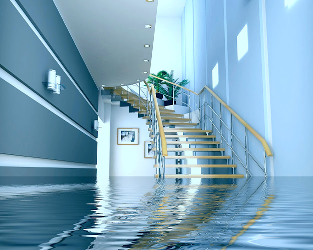 Bakken Mold Squad Water Damage Restoration Service in Williston, ND photo