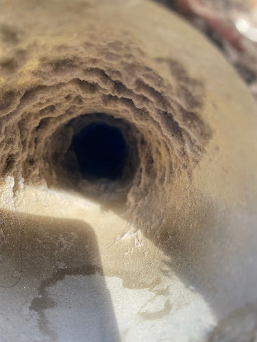 Dryer Vent Wizard of SE Saratoga and NE Schenectady Dryer Vent Cleaning Service in Ste 2223, NY photo