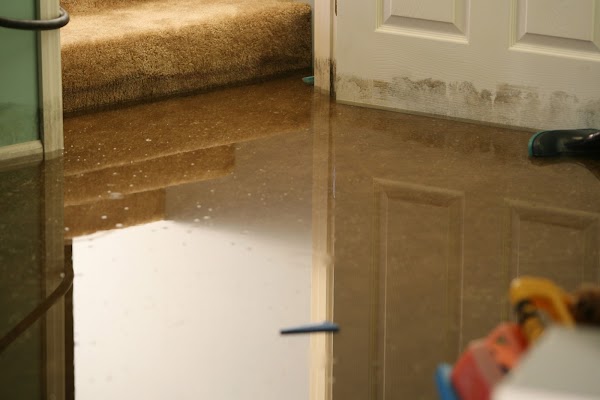 SERVPRO of Limestone and Lawrence Counties, Decatur photo