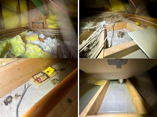 Gallery photo for Colorado Crawl Space LLC in Main St, CO