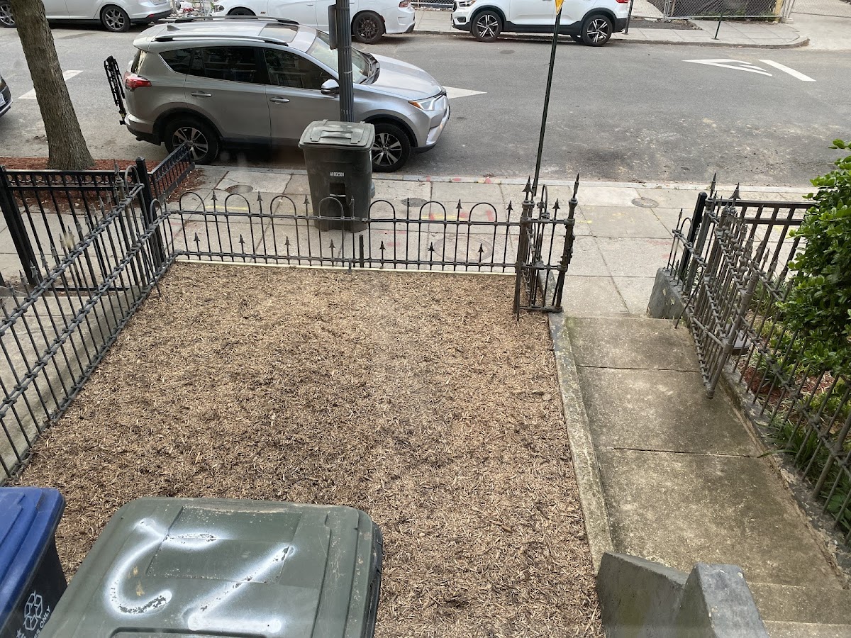 Ruda Masonry Masonry Contractor in Washington, DC photo