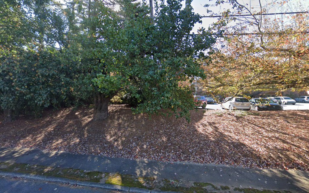 Gallery photo for Chimney Pro Cleaners Metro in Dunwoody, GA