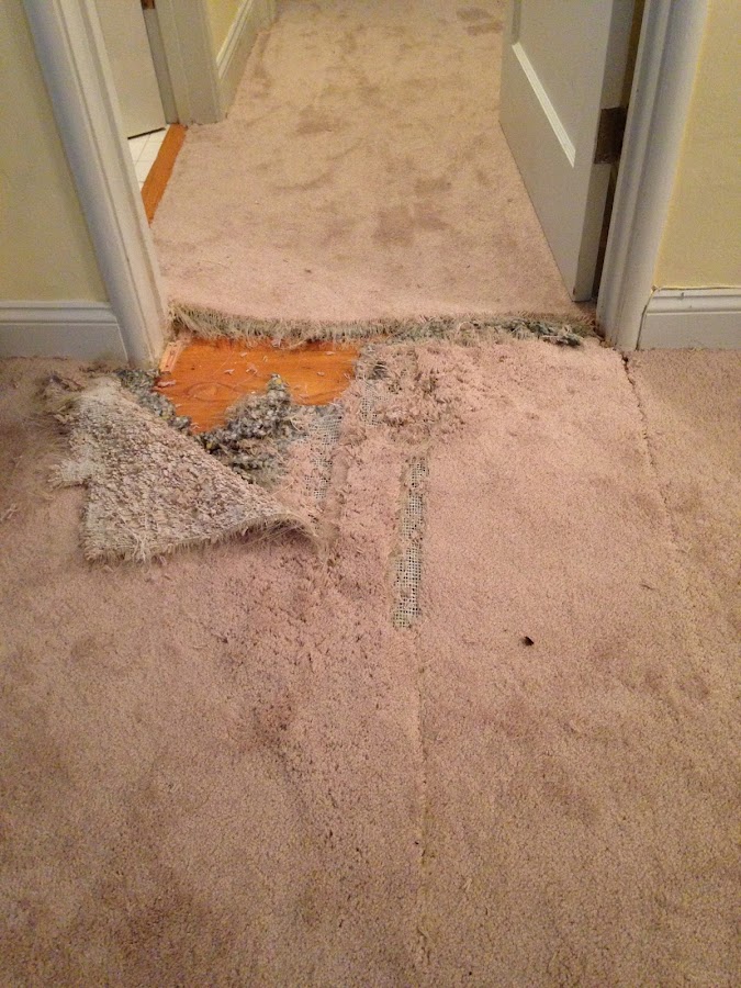 The Carpet Repair Guys Carpet Installer in Santa Clara, CA photo