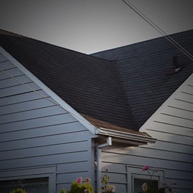 Trinity Exteriors gallery photo
