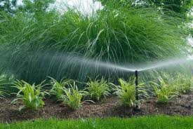 Greenville Irrigation Services gallery photo