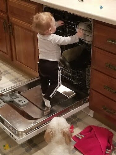 Appliance Rescue Service Appliance Repair Service in Addison, TX photo