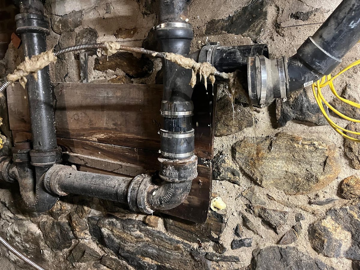 Master Rooter: Sewer and Drain Cleaning Service photo