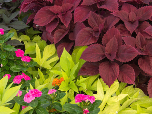 Piedmont Landscape Management gallery photo