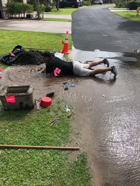 Pipe Sharks LLC Plumber in Kailua-Kona, HI photo