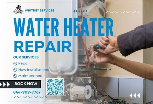 WHITNEY SERVICES gallery photo