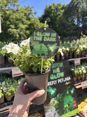 Westlake Ace Hardware photo