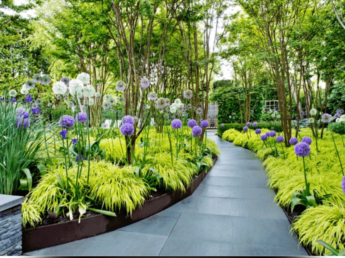 Vertscape Landscaper in Burlington, VT photo