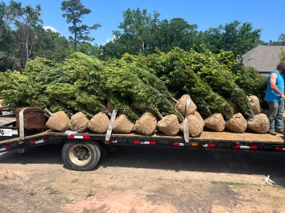 King Sprinkler Lawn Sprinkler System Contractor in Ocean Springs, MS photo