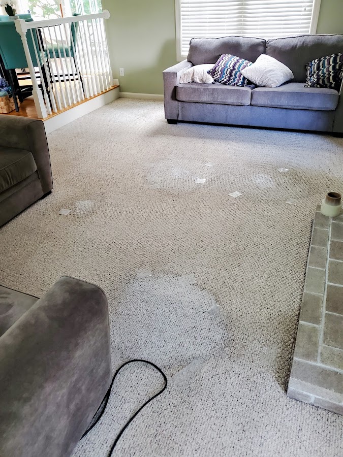 Phoenix of Rhode Island Carpet Cleaning Service in Johnston, RI photo