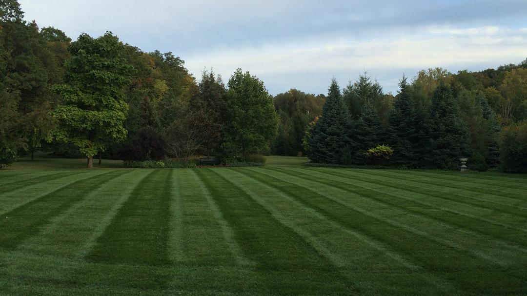 VT Terrain Landscaper in St Albans City, VT photo