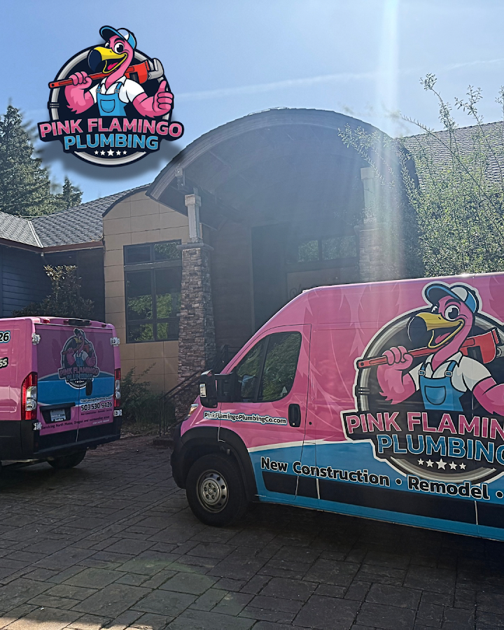 Pink Flamingo Plumbing Plumber in Hillsboro, OR photo