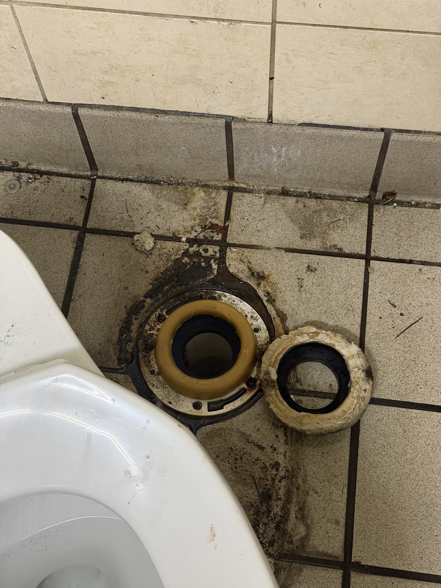 AA Plumbing and Drain Plumber in Gainesville, FL photo