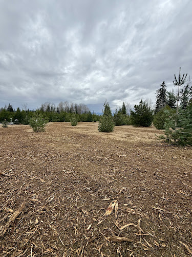 Backwoods Forestry & Excavation Forestry Service in Sagle, ID photo