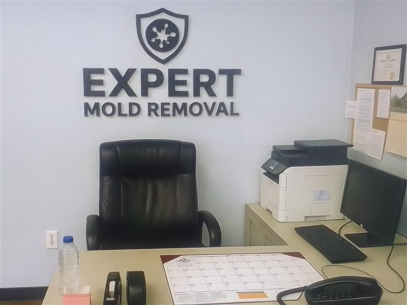 Expert Mold Removal - Florissant, MO photo