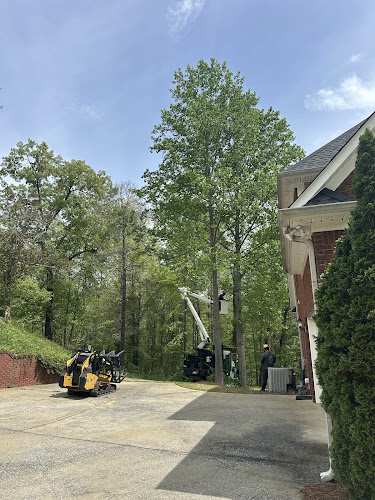 Gray's Tree Services Tree Service in Bessemer, AL photo