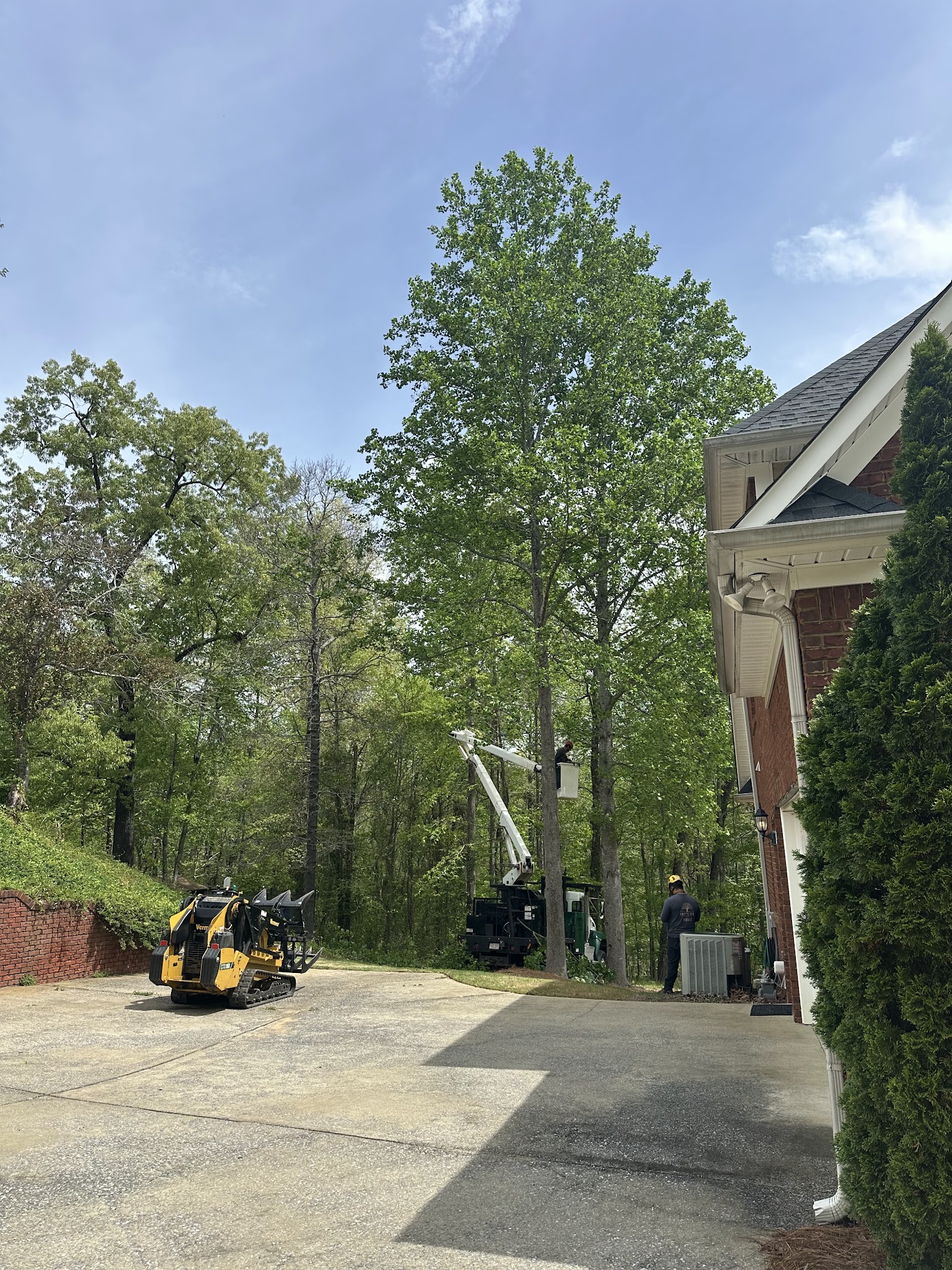 Gray's Tree Services Tree Service