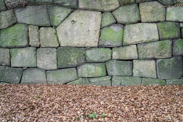 Gallery photo for Remy Fence & Masonry in Wallingford, CT