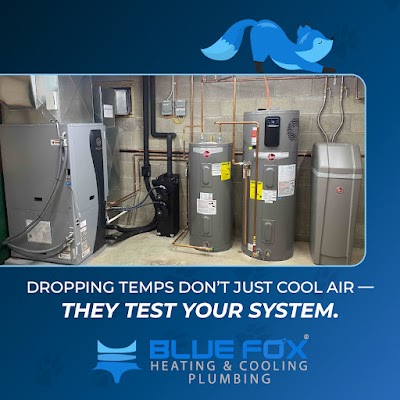 Blue Fox HVAC, Plumbing, Sewer, & Drain gallery photo