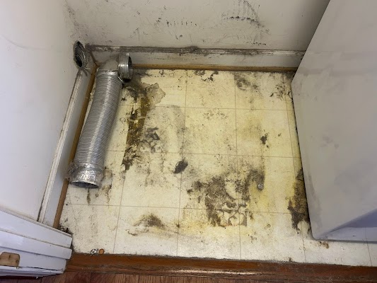 Gallery photo for Urbana Dryer Vent Cleaning in 201 Broadway St Suite 220, MD