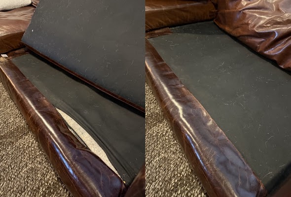 Revive & Thrive Leather gallery photo