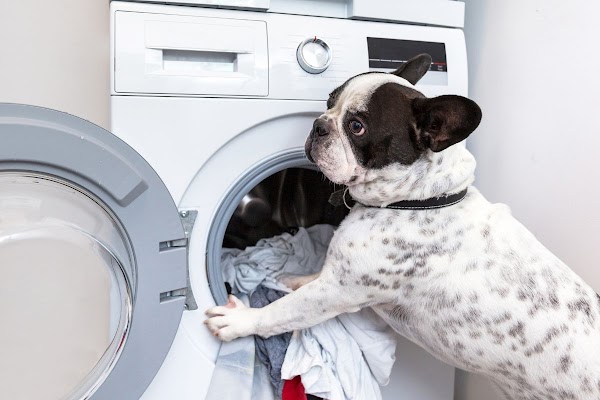 Gallery photo for Appliance King of America in Boca Raton, FL