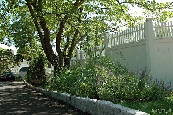 Sage Landscape Contractors and Tree Experts gallery photo