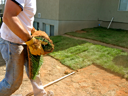 Amaya Landscaping & Junk Removal LLC gallery photo