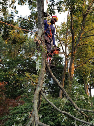 Barker Landscaping Landscaper in Plainfield, NJ photo