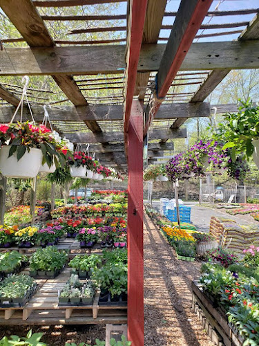Santelli & Son's Landscape & Tree Care Landscaper in Great Neck, NY photo