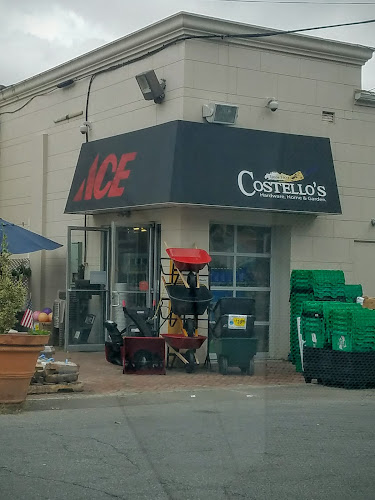 Costello's Ace Hardware of Great Neck Handyman in Great Neck, NY photo