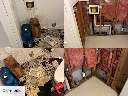 DRYmedic Restoration Services of Franklin gallery photo