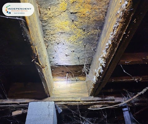 Independent Restoration Services of Franklin gallery photo